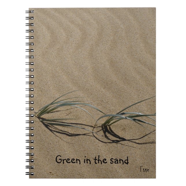 Carnet vert dans le sable (Devant)