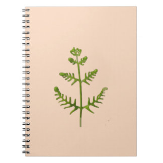Carnet vert de printemps