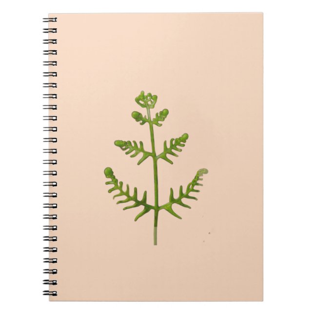 Carnet vert de printemps  (Devant)