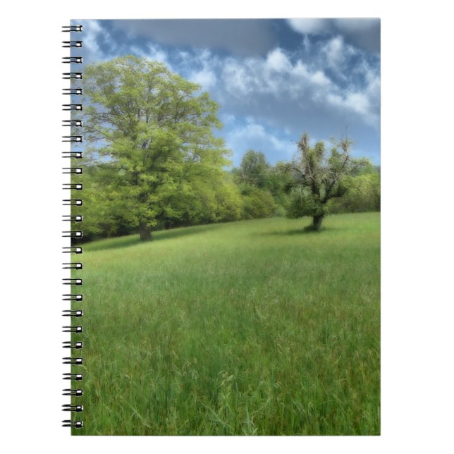 Carnet vert des Appalaches (Devant)