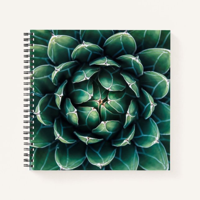 Carnet Vert et blanc Succulent (Devant)