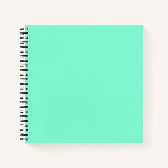 Carnet Vert menthe uni (Devant)