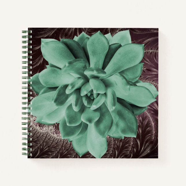 Carnet Vert Succulent Echeveria Apus Closeup Photo (Devant)