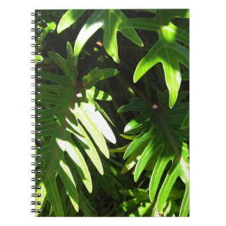 Carnet Vert tropical