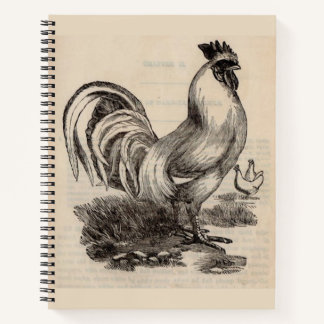 Carnet Victorian print white Dorking rooster