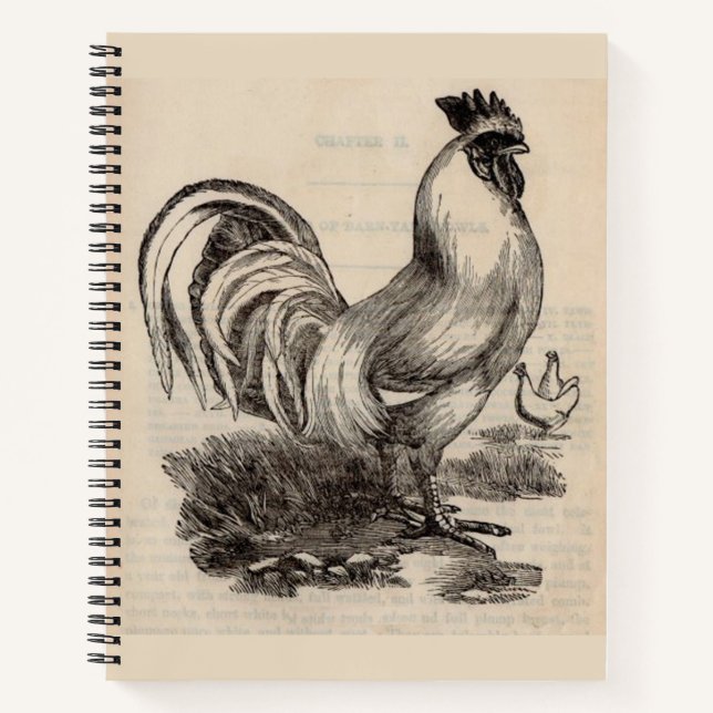 Carnet Victorian print white Dorking rooster (Devant)