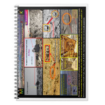 Vie animale martienne