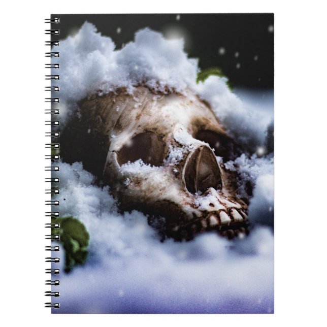 Carnet Vie d'hiver IV (Devant)