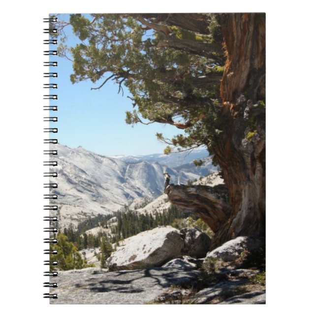 Carnet Vieil arbre au parc national de Yosemite (Devant)