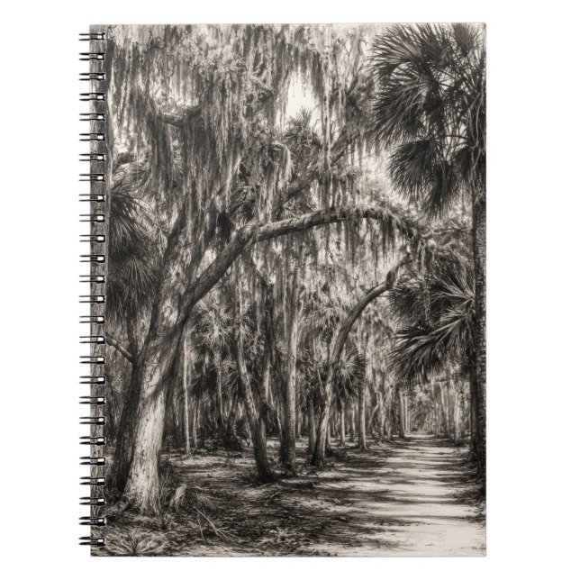 Carnet Vieux chêne de Floride Hammock Graphite Croquis |  (Devant)
