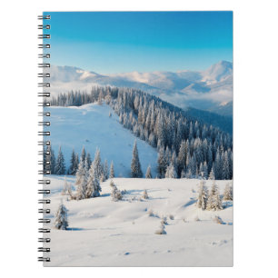 Carnet Vieux grunge texture en bois ou arrière - plan ave