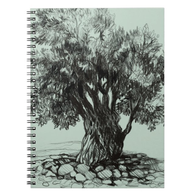 Carnet Vieux olivier (Devant)