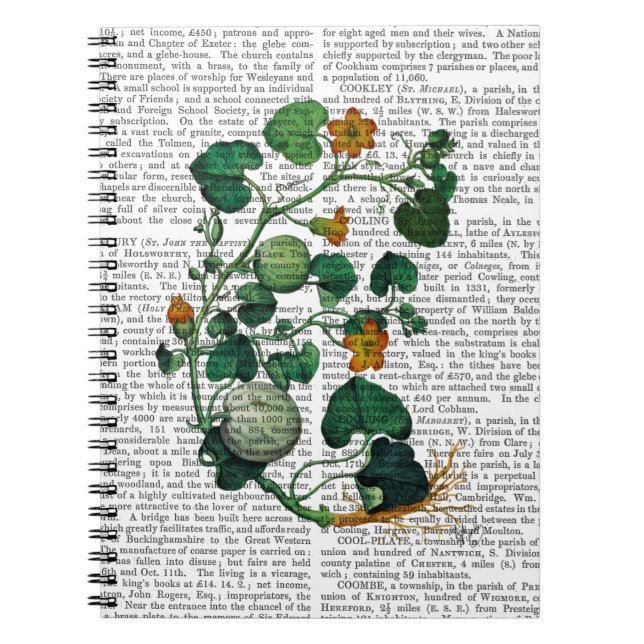 Carnet Vigne de squash 2 (Devant)