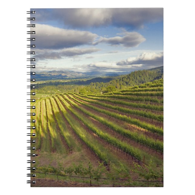 Carnet Vignoble. Vallée de Napa. Napa. Comté de Napa, (Devant)