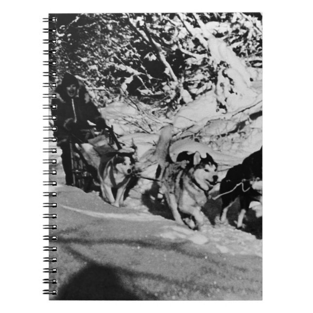 Carnet Vintage Alaska eskimo Malamute course de traîneau  (Devant)