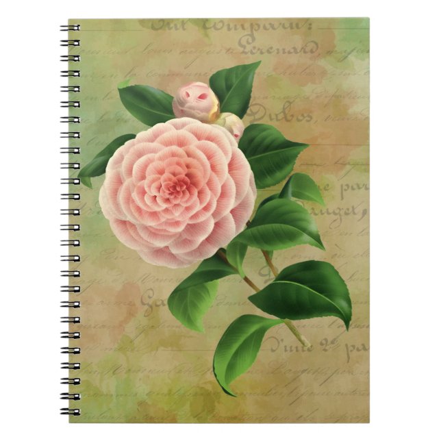 Carnet Vintage Camellia Botanique (Devant)