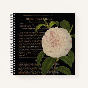 Carnet Vintage Camellia Virginia Franco Black