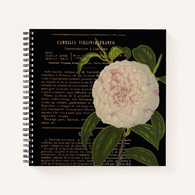 Carnet Vintage Camellia Virginia Franco Black (Devant)