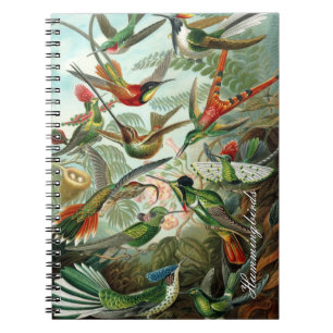 Carnet vintage de colibris