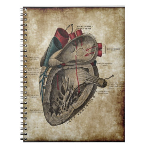 Carnet vintage de diagramme de coeur