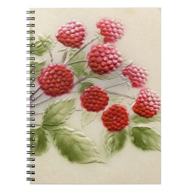 Carnet vintage de framboises (Devant)