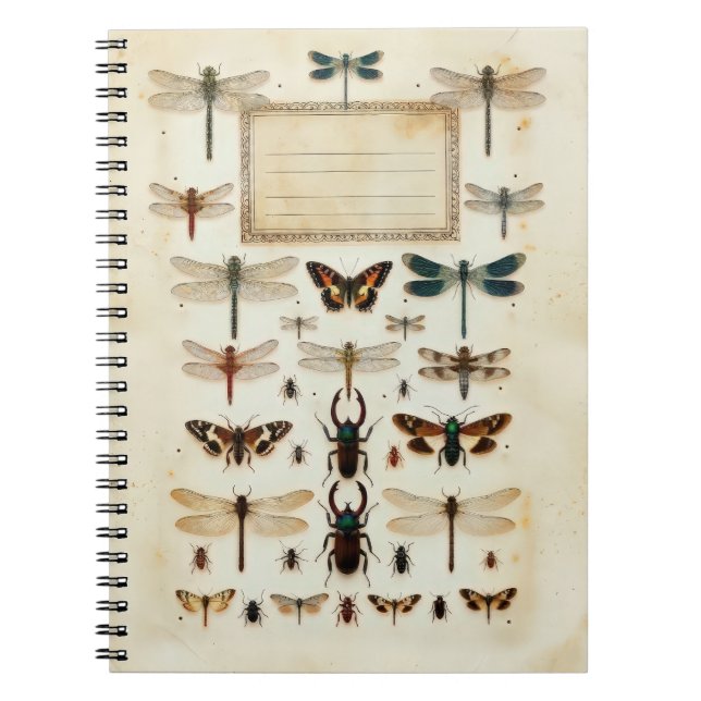 Carnet Vintage Dragonfly Beetle Taxonomy Specimen Chart (Devant)