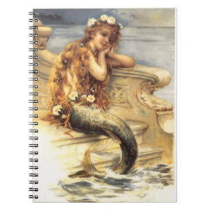 Carnet Vintage Little Mermaid