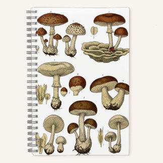 Carnet Vintage Mushrooms Notebook