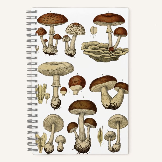 Carnet Vintage Mushrooms Notebook (Recto)
