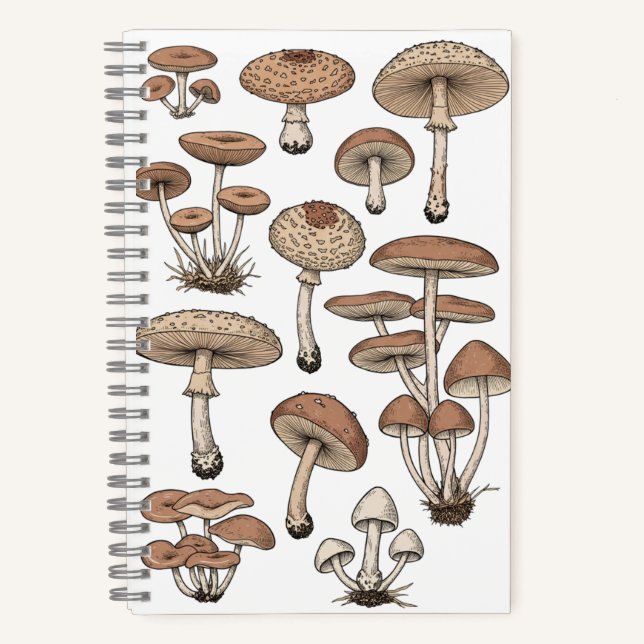 Carnet Vintage Mushrooms Notebook (Recto)