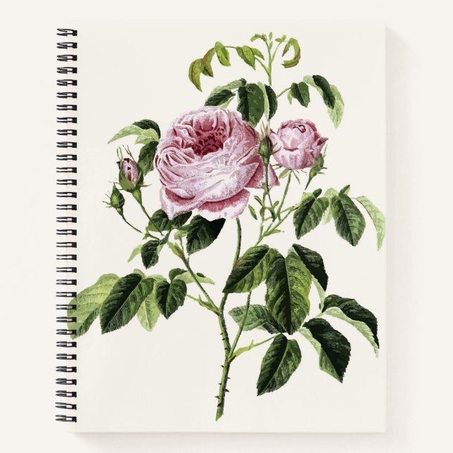 Carnet Vintage rose Timeless
