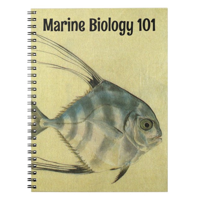 Carnet Vintage Threadfin Trevally, Pompano Africain Poiss (Devant)