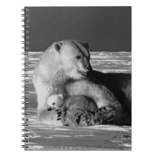 Carnet Vintage USA Alaska mère ours polaire 1970