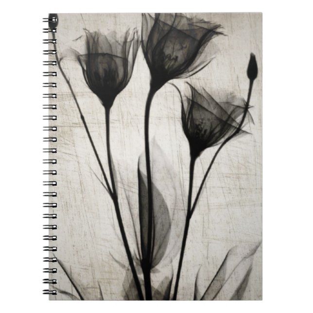 Carnet Vintage X-Ray Flowers (Devant)