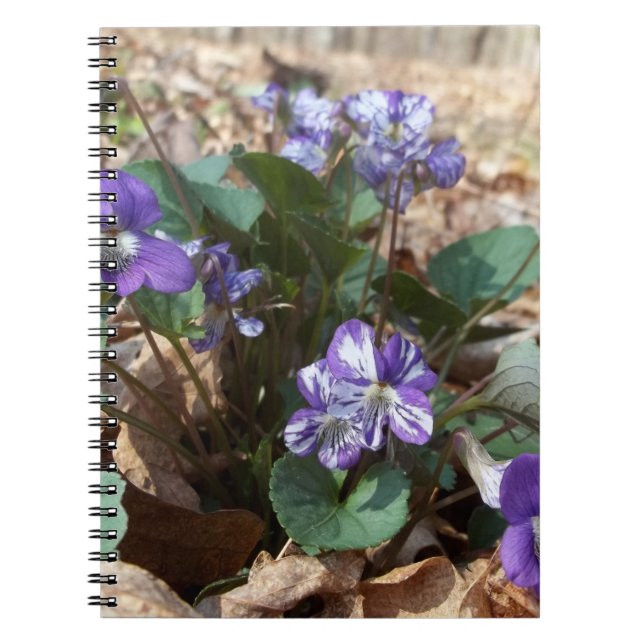 Carnet Violette en bois du sud (Devant)
