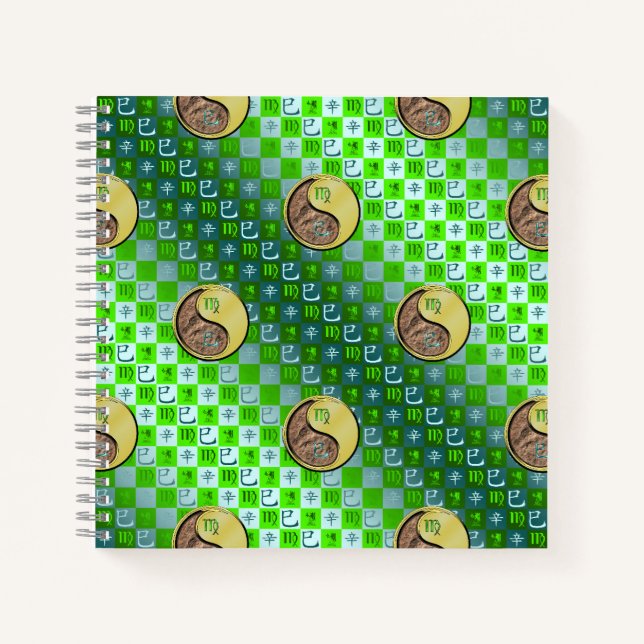 Carnet Virgo & Metal Snake (Devant)