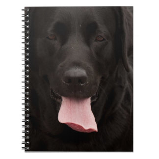 Carnet Visage de chien noir