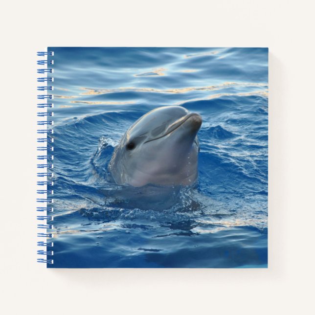 Carnet Visage de dauphin dans l'océan Photo mignonne (Devant)