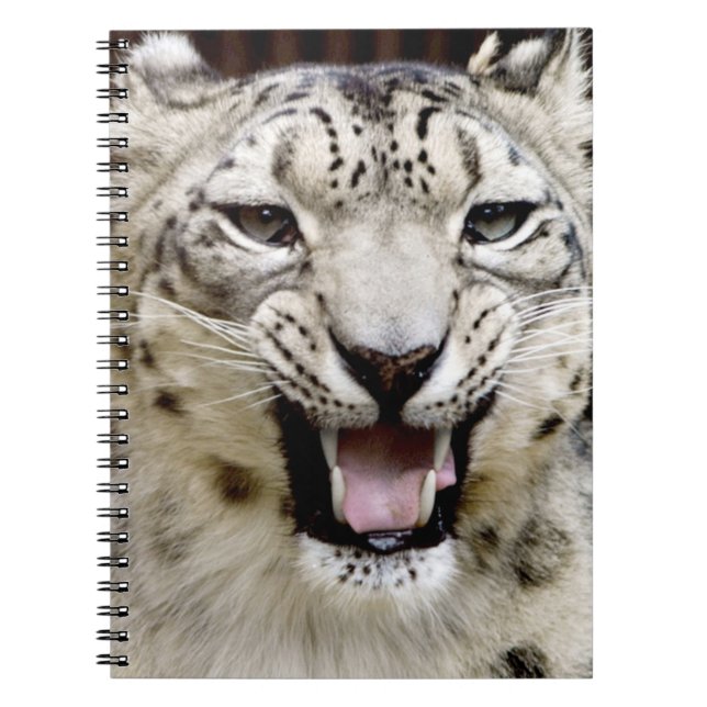 Carnet Visage de léopard de neige (Devant)