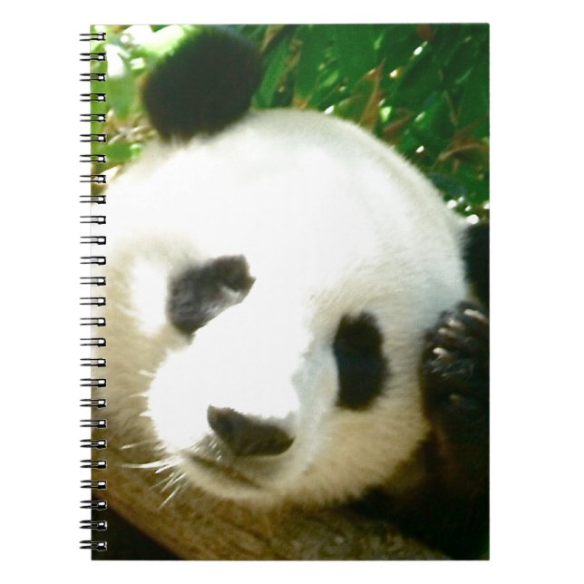 Carnet Visage de panda (Devant)