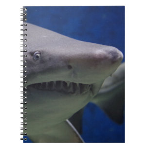 Carnet Visage de requin