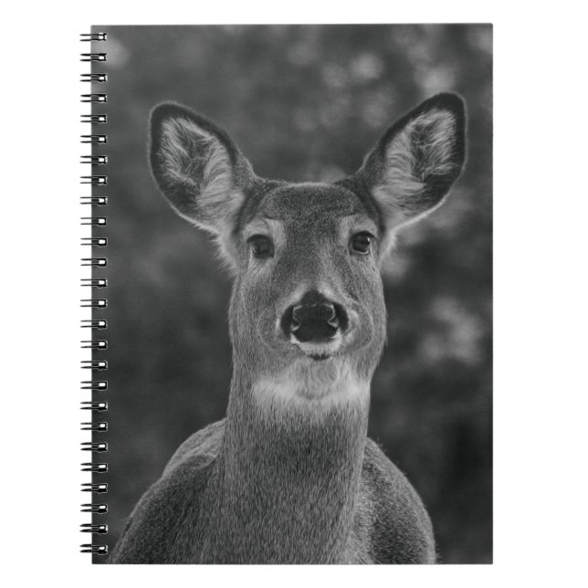 Carnet Visage noir et blanc de cerfs (Devant)