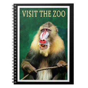 Carnet Visitez le Zoo, affiche de voyage vintage