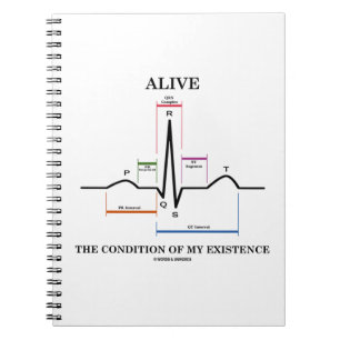 Carnet Vivant l'état de mon existence (ECG/EKG)