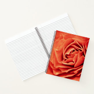 Carnet vivant rose