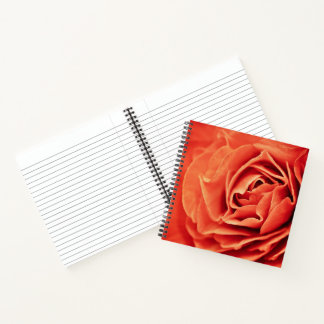 Carnet vivant rose