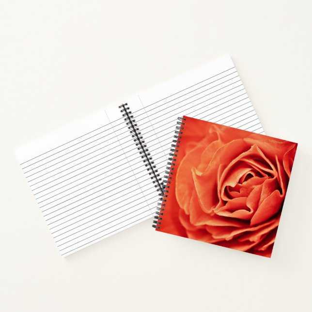 Carnet vivant rose (Intérieur)