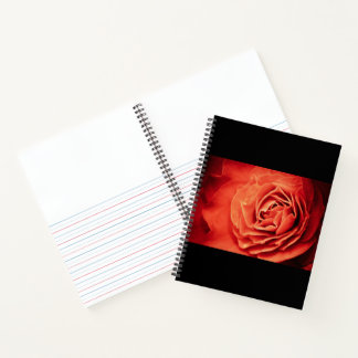 Carnet vivant rose