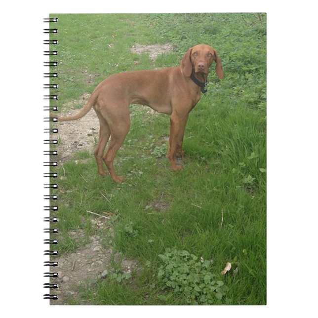 Carnet vizsla complet (Devant)