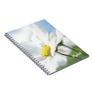 Carnet Voeux avec marguerites blanches Personnalisé